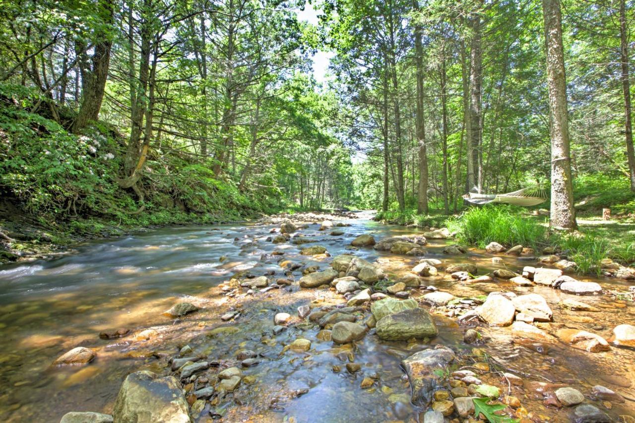 Clearwater Cabin On 10 Acres With Trout Stream! Monterey Bagian luar foto